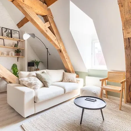 L'elegant - Fonctionnel Plein-centre De * Douai